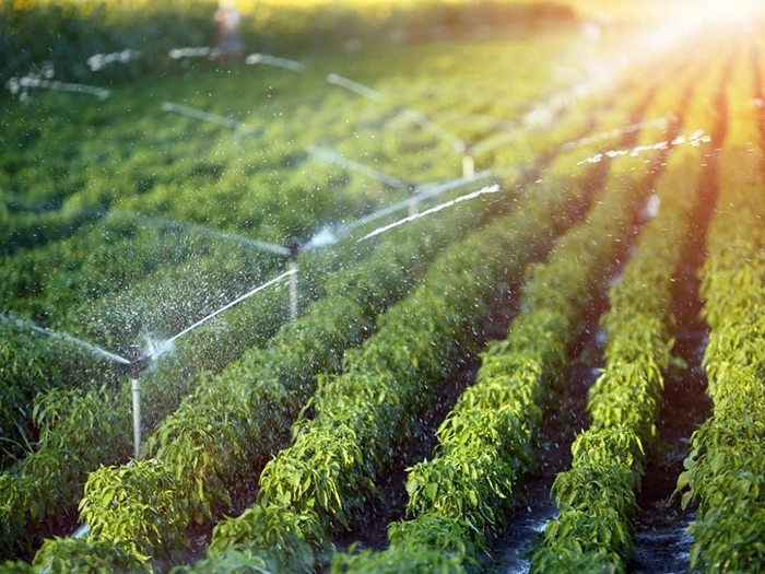 Irrigation System Solutions